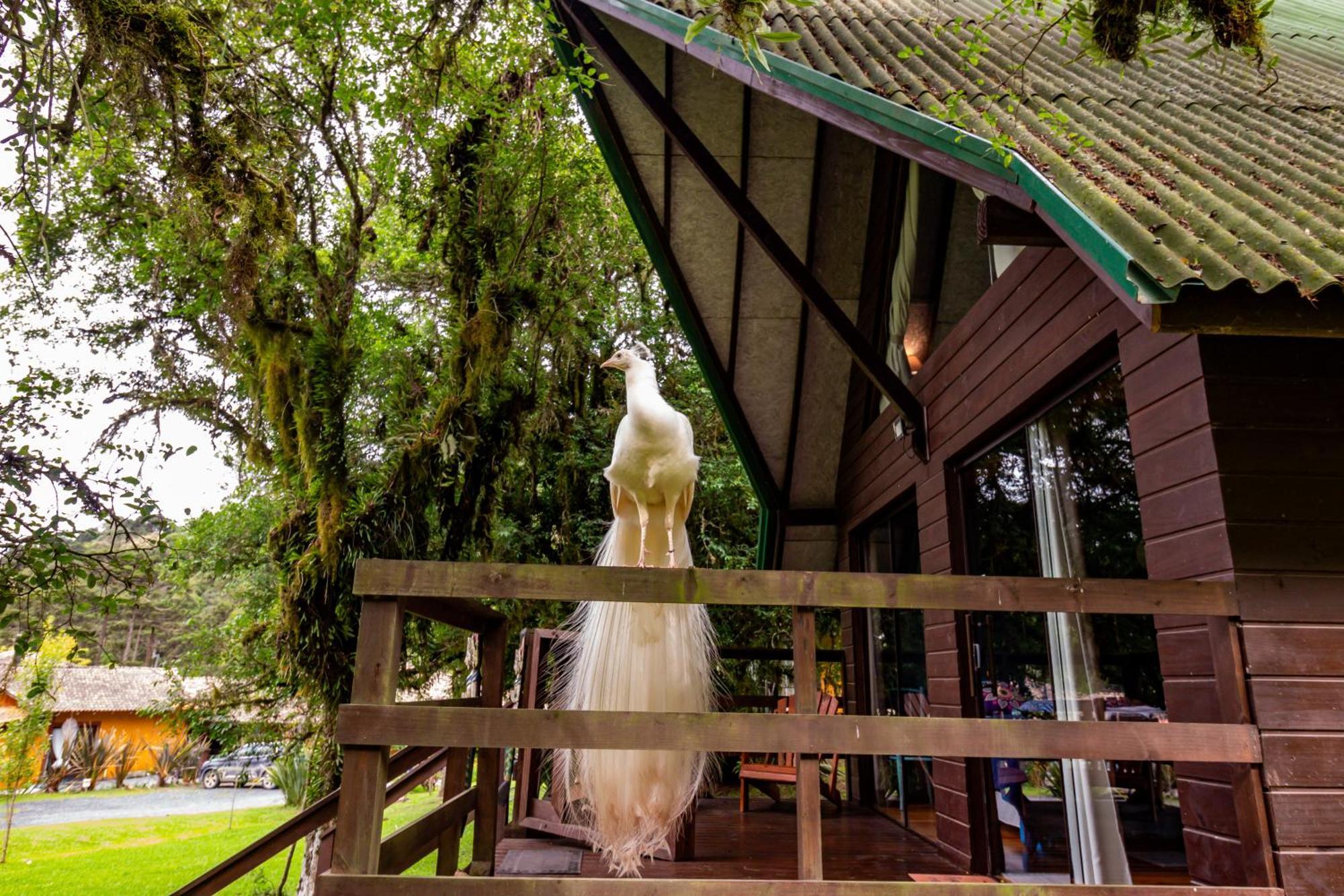 Pousada Jardim Do Buda Com Cafe Урубиси Экстерьер фото